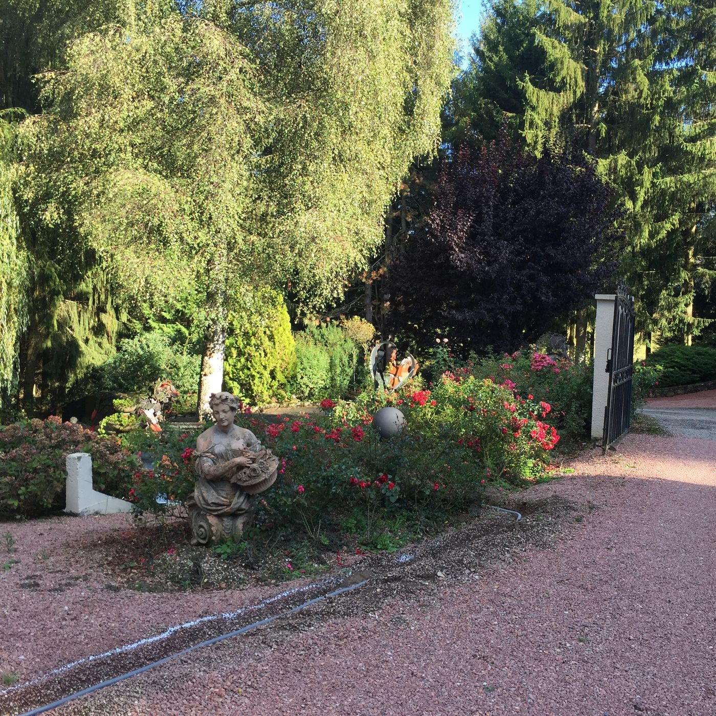 Enceinte sphérique d'extérieur intégrée dans un massif de rosiers, musique au jardin en toute discrétion